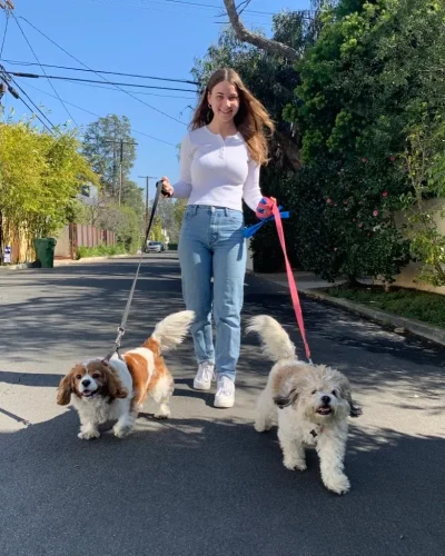 imgi_261_Pet_Sitting_Beverly_Hills